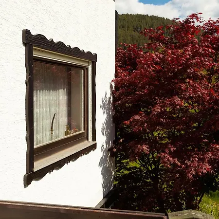 Hotel Petra Baiersbronn