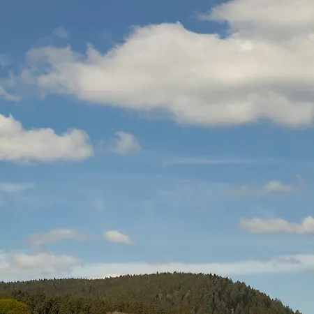 Petra Hotel Baiersbronn