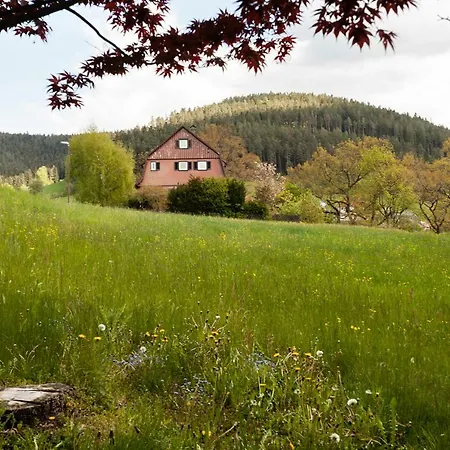 Petra Hotell Baiersbronn