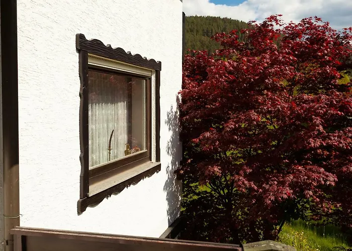 Hotel Petra Baiersbronn